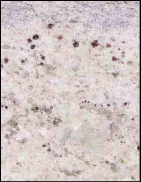 granit Kashmir White